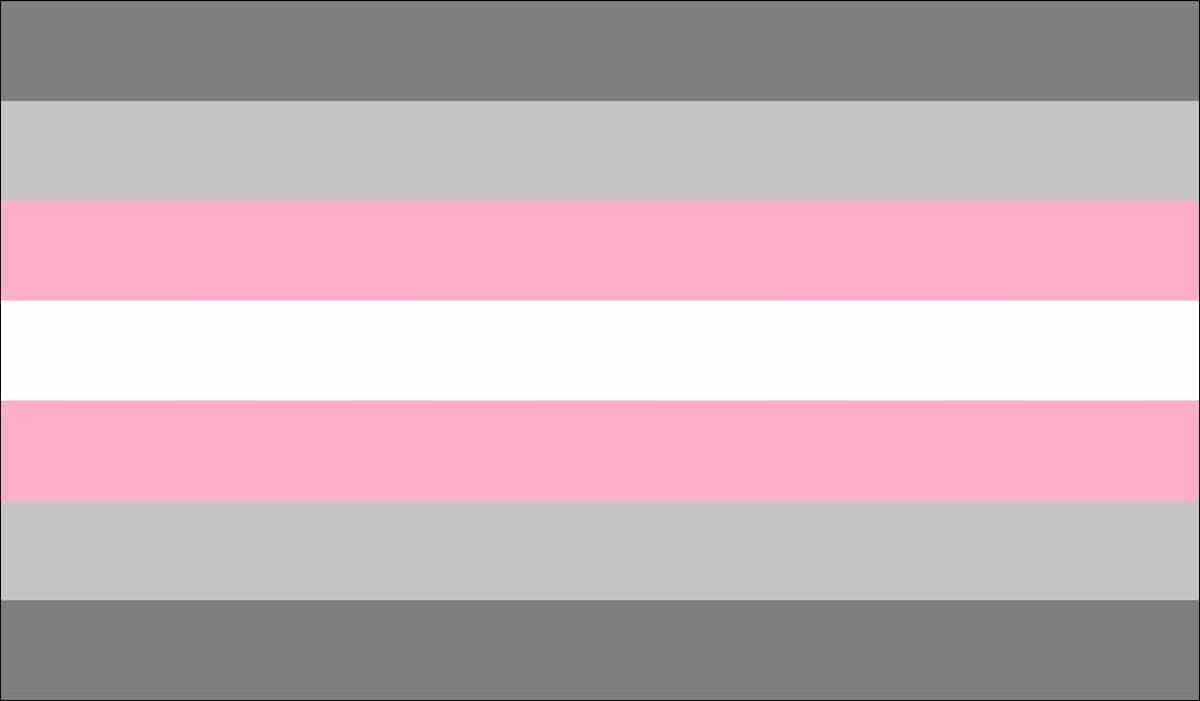Demigirl pride flag