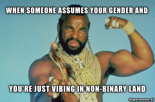 Non binary meme