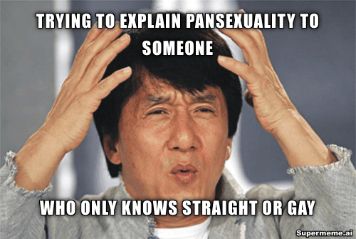 Pansexual meme