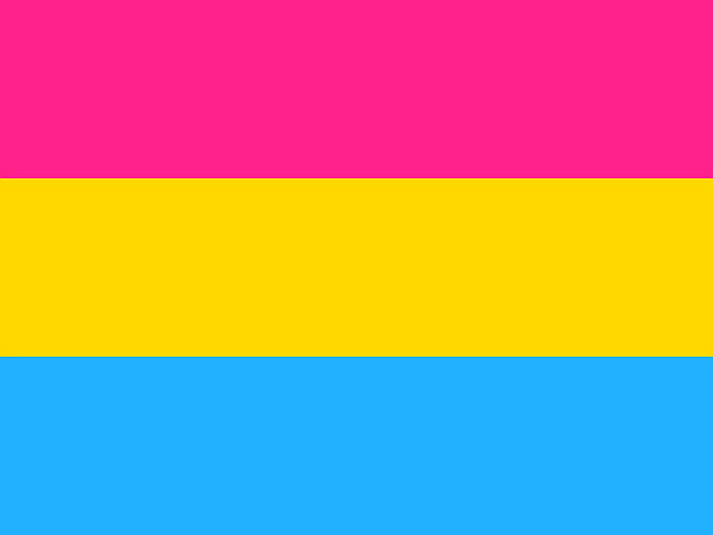 The pansexual pride flag